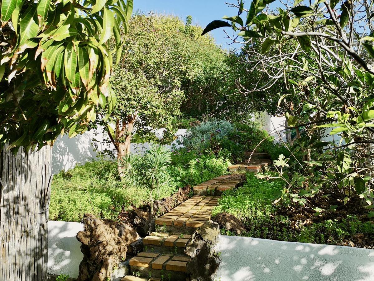 Nanou House Βίλα La Matanza De Acentejo Εξωτερικό φωτογραφία